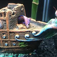 Aquarium garden aquarium aquascape aquarium landscape aquarium setup live aquarium aquarium ideas aquarium design aquarium fish tank tropical freshwater fish. Slocme Aquarium Pirate Ship Decorations Fish Tank Ornaments Resin Material Shipwreck Decorations Eco Friendly For Freshwater Saltwater Aquarium Sunken Ship Accessories Amazon Co Uk Pet Supplies