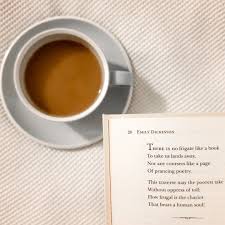 There Is No Frigate Like A Book To Take Us Lands Away Emily Dickinson Poetry Poem Emilydicki Tea Drinkers My Cup Of Tea English Tea