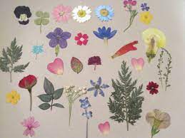 Pressing flowers can be done a few different ways. How To Press Flowers And 3 Diy Projects You Can Make With Them Feltmagnet