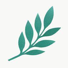 Green Leaf Paper Craft Transparent Png Free Image By Rawpixel Com Nam Leaf Template Paper Flower Wall Decor Paper Crafts