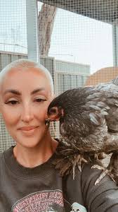 What to do with a broody Brahma chicken?