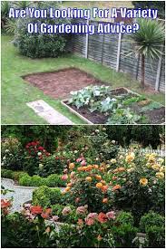 Simple Home Gardening Gardening Tips Growing Vegetables Lawn Soil