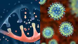 The potential for the marburg virus to spread far and wide means we need to stop it in its tracks marburg outbreaks start when an infected animal, such as a monkey or a fruit bat, passes the virus. Marburg Virus Disease Microbiology Class