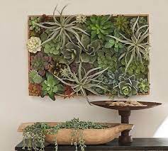 faux succulent wall art hanging grey wicker baskets