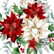 Maybe you would like to learn more about one of these? Christmas Poinsettias Christmas Flowers Christmas Art Christmas Illustration
