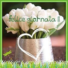Buongiorno Buon Compleanno Buongiorno Auguri Di Buon Compleanno