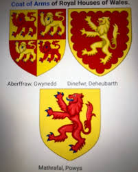 Jason Chip Hoover (@jason_chip_hoover) • Instagram photos and videos