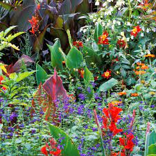 Low maintenance, drought resistant and salt tolerant plantings were used in mass and clumps. Tropical Flower Garden Design Ideas