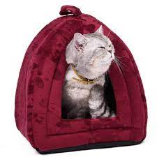 pet products panosundaki pin