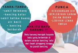 Formulator produk ini adalah dr norazlansha hazali, atau kalau ikutkan ada banyak lagi tapi karang kata beliau riak pulak. Jom Ambil Tahu Ambil Peduli Apa Itu Susu C2joy Kedah Facebook