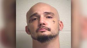 Upstate man pleads guilty in hatchet killing