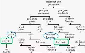 The practice was common in earlier times, and continues to be common in some societies today, though in some jurisdictions such marriages are prohibited. What Would My Mother S Cousin S Son Be To Me Quora