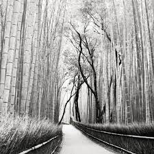 Pin On Black White Photo S