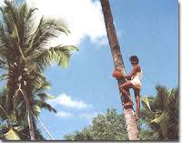 Mumbai Magic: Who are the Bhandaris?