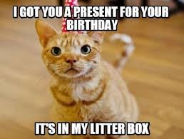 The Newest And Best Happy Birthday Memes 50 Best Cat Birthday Memes Happy Birthday Cat Cat Birthday