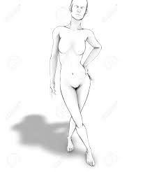 All the best female body anatomy drawing 37+ collected on this page. Female Human Body Anatomy Drawing Sketch Stock Photo Picture And Royalty Free Image Image 24122048