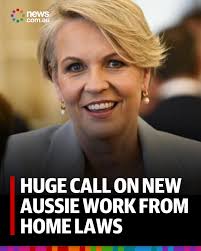 Tanya Plibersek has been grilled