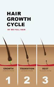 Before we dive into the phases of hair growth, it is helpful to understand how quickly hair naturally grows to get a good understanding of what to expect. 15 Best Hair Growth Cycle Ideas In 2021 Hair Growth Cycle Hair Growth Growth