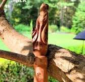Wood Carving in Sticks | TikTok