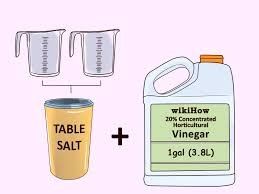 How To Kill Weeds With Vinegar 10 Steps With Pictures Wikihow