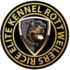 Rottweiler puppies for sale in alabama! Rice Elite Kennel Rottweilers Rottweilers Albertville Alabama