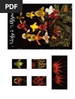 Image result for Summerhayesia zambesiaca