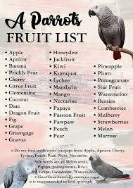 Clementines are citrus fruits and are too acidic and sweet for hamsters. 490 African Grey Parrots Ideas African Grey Parrot African Grey African