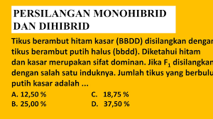 Mendel mengambil serbuk sari dari bunga tanaman yang bijinya berlekuk (berkerut) dan diserbukkan pada putik dari bunga tanaman yang. Sangat Mudah Persilangan Monohibrid Dan Dihibrid Part1 2 Youtube