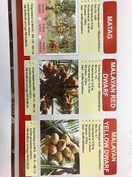 Mulai dari akar, batang, dahan hingga buah bisa di pakai. Arep On Twitter Tak Semestinya Air Kelapa Hijau Sweeter Than Kuning Look At The Brix Sweetness Lvl And Income Can Be Generated Each Variety Agriculture Https T Co Dotuxg94k7
