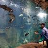 Make your shopping a little easier when you get a free bass pro shop gift card taking surveys, watching videos, shopping online and more. Https Encrypted Tbn0 Gstatic Com Images Q Tbn And9gcqimsb9z181 Ql34muyrermmuoisbxp So4vitcei4h Jo Lfrj Usqp Cau