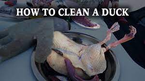 How To Clean Ducks | Duck Hunting - Youtube