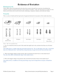 Evidence for evolution worksheet answers pogil from evidence of evolution worksheet, source:guillermotull.com. 402703927 Evidence Of Evolution Answer Key Docx