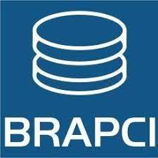 Publicações - artigos em revistas brasileiras de ciência da informação [BRAPCI: papers in Brazilian LIS journals