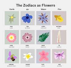 This says a lot about the rose's popularity as a gift of flower. Artstation Zodiac Poster Flowers Emily Aldridge