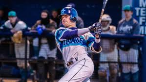 Siegel shortstop Drew Benefield starts baseball season with bat