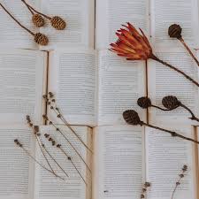 Ios, pc and more, recipients can download copies of the files so . Download Wallpaper 2780x2780 Books Flowers Herbarium Dry Plants Ipad Air Ipad Air 2 Ipad 3 Ipad 4 Ipad Mini 2 Ipad Mini 3 Ipad Mini 4 Ipad Pro 9 7 For Parallax Hd Background