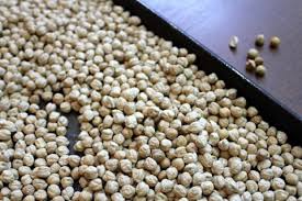 Beans are hearty, healthy, versatile, and cheap. How To Make Hummus Cooking Dried Garbanzo Beans