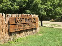 Besides easy access to the frio, the park offers many miles of hiking trails and camping options. Lost Maples State Natural Area Texas Parks And Wildlife Home Facebook
