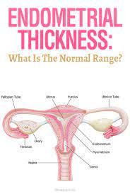 Pin On Pregnancy Prenatal Labor And Postpartum