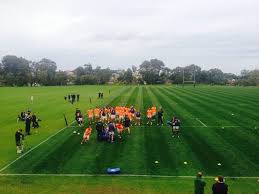 Springboks Training In Perth Soccer Field Field Perth