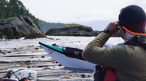 Shanghai dehuan industry co., ltd. Kingfisher Wilderness Adventures Port Mcneill 2021 All You Need To Know Before You Go Tours Tickets With Photos Tripadvisor