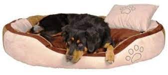 panier pour chiens et chats cat supplies cat bed cat pet supplies