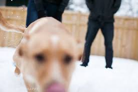 ellie & kyle : Sewell Photography