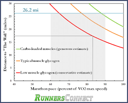 How To Calculate When Youll Hit The Wall During A Marathon