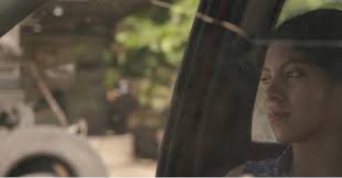 Shane Bartley (@shanecolourist) • Instagram फोटोहरू र भिडियोहरू