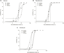 Image result for Digitaria nuda