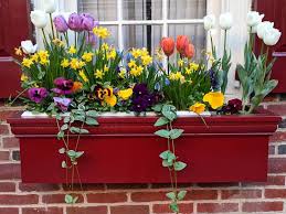 We did not find results for: 24 Window Box Flower Ideas What Flowers To Plant In Window Boxes Apartment Therapy