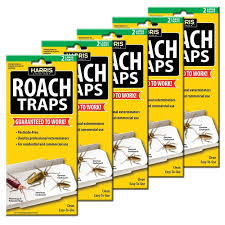 Bioadvanced Fungus Control For Lawns Ready To Spray 32 Ounce Bengal Gold Roach Spray 9 Oz In 2020 Insect Spray Fruit Fly Trap Green Pest Control