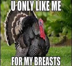 U Only Like Me For My Breasts Funny Turkey Pictures Funny Thanksgiving Memes Happy Thanksgiving Memes