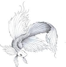 Siamese Fighting Fish By Chakra San Jpg 884 904 Pixels Betta Fish Tattoo Beta Fish Drawing Fish Drawings